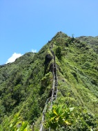 Tripler Ridge to Haiku Stairs 82